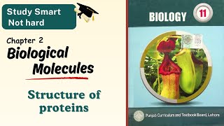 Structure of proteins  Classification of protein  Class 111st year  Chapter 2  Punjab  Biology [upl. by Matless]