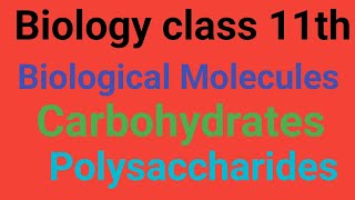 Polysaccharides Lecture 3 GlycogenStarch Cellulose Chitin and Iodine Test for polysaccharides [upl. by Perrins]