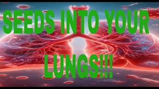 What Happens What happens if a Seed Gets Into Your Lung 😳 facts humanbody science [upl. by Gaile618]