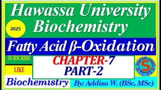 2 De Novo synthesis betaoxidation of fattyliver fat Lipid Metabolism metabolism university [upl. by Buffum]