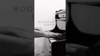 Moonlight Sonata  Beethoven 3rd movt moonlight beethoven sonata [upl. by Nevil]