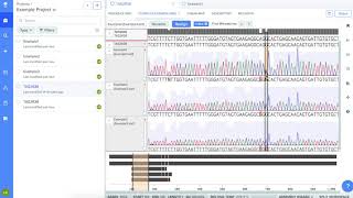 Benchling Tutorial for Students [upl. by Trebloc558]