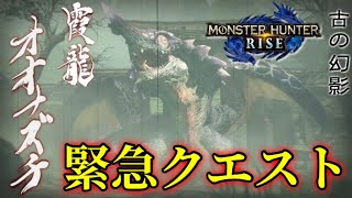 【HR20以上開放】緊急クエスト quotオオナズチquotのソロ討伐へ向かう「モンスターハンターライズ」 [upl. by Leamhsi851]