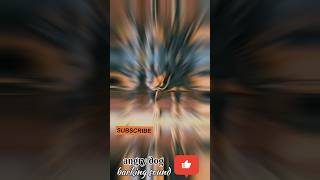 angry dogbarking soundviral shorts video [upl. by Llertnom766]