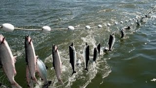 Everyone should watch this Fishermens video  Amazing Automatic Net Fishing Line Catching Big Fish [upl. by Alrahc]