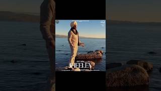 JHEELEY  NEW SONG  Satinder Sartaj Yt shortsartaajproduction [upl. by Llenyl]