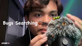 ASMR Crunchy Bugs🦟🐞  Bugs Searching [upl. by Franckot]