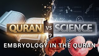 AI Proves Quran’s Embryology Accuracy Knowledge Beyond 1400 Years  Learn Islam [upl. by Norted532]