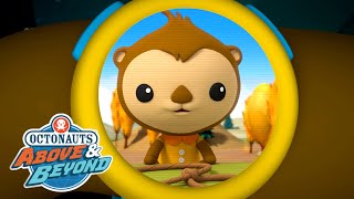 Octonauts Above amp Beyond  Periwinkle  Land Adventures  Kidzuko [upl. by Dosh305]