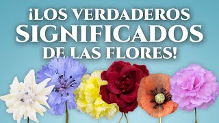 Los verdaderos significados de las flores ¡revelados [upl. by Jorry437]