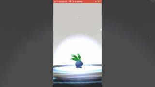 Oddish evolves I leaked my address  pokemongo gaming pokemon oddish [upl. by Eramat]