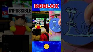 IL VA REDOUBLER SON ANNÉE SUR ROBLOX  😱😱 roblox [upl. by Llednor]