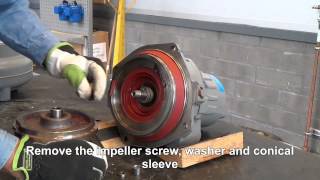 How to Replace the Impeller on Flygt N 3085 amp N 3102 Pumps with Adaptive N® Impeller [upl. by Anagnos]