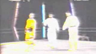 shaolin kung fu vs Tae Kwan Do [upl. by Kcirdor]