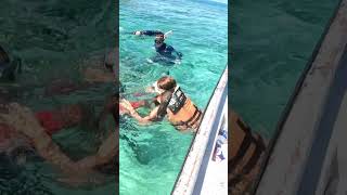 Isla Mucura  Imperdibles en tolu y coveñas shorts [upl. by Chatav]