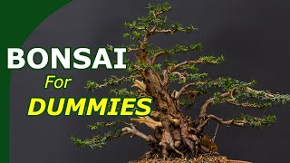 Starting with bonsai made easy An overview to start growing bonsai [upl. by Ennaeus]