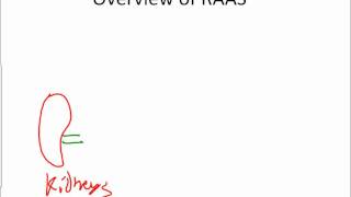 Hormonal Regulation of Water Balancewmv [upl. by Nomyar]