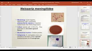 Bacterial CNS infections Microbiology 2024 [upl. by Eatnod]