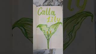 Calla lily 🏵 callalily flower watercolor art watercolorpainting shorts youtubeshorts drawing [upl. by Tol]