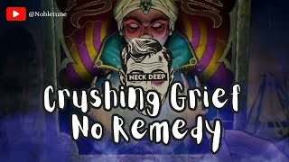 Neck Deep  Crushing Grief No Remedy acoustic vers with a line in a song [upl. by Uttica975]