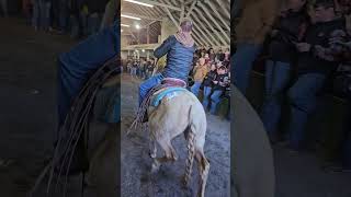 Horse auction at Legacy Livestock Auction LLC in Thurmont Md [upl. by Burta]