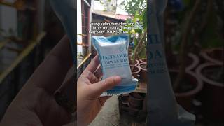 ANTIBODY ODOR SOAP niacinamide tawassoap tiktokshop nilarecos shorts fypviral [upl. by Odravde]