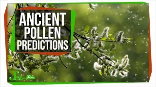 How Ancient Pollen Can Predict The Future [upl. by Atnohs]