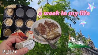 vlog  6  the one where I bake a bunch [upl. by Ahsiemac]