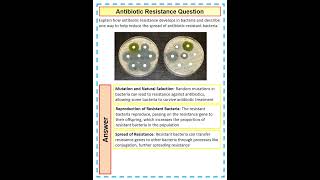 How to answer a 4 mark GCSE Biology Question on antibiotic resistance [upl. by Jackqueline]