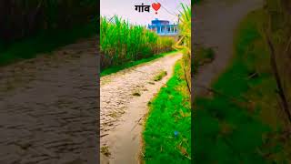 Aapna gaao song trendingshorts bhojpuri hindisong chandanchanchallatestsonghit2020 [upl. by Nacim665]