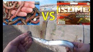 Needlefish fishing  Live Sandworm vs Marukyu Isome  Заргана на морски червей или изкуствен червей [upl. by Repohtsirhc825]