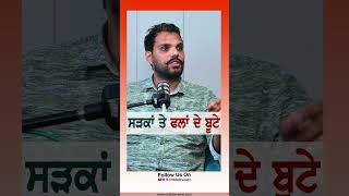 ਸੜਕਾਂ ਤੇ ਫਲਾਂ ਦੇ ਬੂਟੇ rmbtelevision farming podcast status fruit fruitfarm diet healthcare [upl. by Nodnnarb]