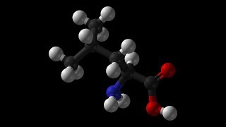 Leucine  Muscle Growth Bone Skin Growth Hormone Blood Sugar Wound Healing Insulin NADH ATP [upl. by Annauqal]