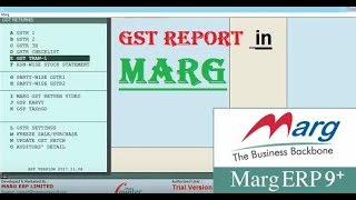 GST FORM in Marg software  GST FORMS in MARG software [upl. by Vilma]