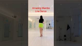 Amazing Mambo Line Dance linedance mambo 라인댄스 맘보 어메이징 [upl. by Emylee]