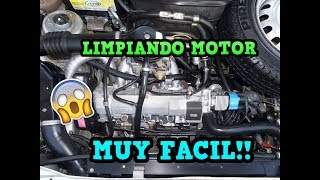 TRUCOS  Como Limpiar el Motor del auto Facil y Barato en casa [upl. by Arakahs460]