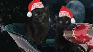 Christmas Cats 2006 [upl. by Lasley183]