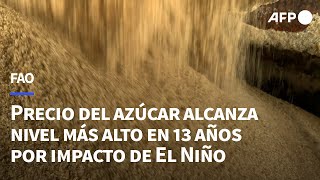 El precio del azúcar alcanza su nivel más alto en 13 años por impacto de El Niño  AFP [upl. by Gerianna]