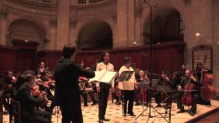 Orquesta Barroca La Partenope  Les Sauvages RAMEAU [upl. by Yaeger86]