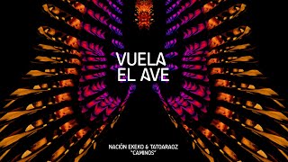 NACIÓN EKEKO  VUELA EL AVE  Video Lyric [upl. by Leuqcar340]