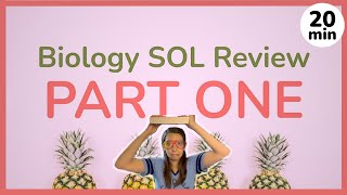 Biology SOL Review  Part 1  20 minute biology study session [upl. by Ynney]