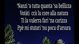 U SILENZIU DE LA SILA  di Carlo Grillo Poesia in Dialetto Calabrese [upl. by Rossen]