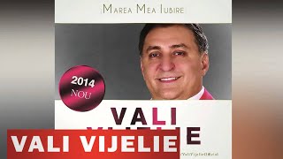 VALI VIJELIE  CAND IN DRAGOSTE NAI VINA HIT NOU 2014 [upl. by Siward]