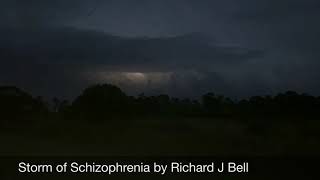 Poetical Short Film Storm of Schizophrenia by Richard J Bell [upl. by Laws]