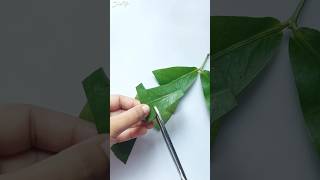 New panting technique 🌱💚art painting ideas technique trending diy asmr best shorts yt ⚡🍀🧑 [upl. by Lundeen]