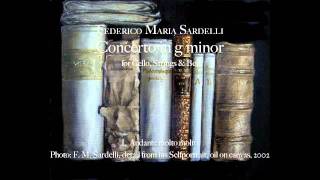 Federico Maria Sardelli  Concerto for Cello Strings amp Bc in g minor I mov [upl. by Willin186]