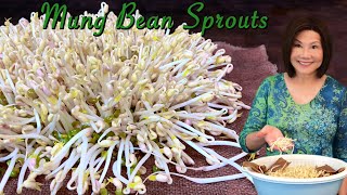 How to Sprout Mung Beans  Done Right and Perfect Every Time 發綠豆芽 [upl. by Friday]