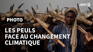 Les Peuls Chapitre III au Niger le défi du changement climatique I AFP Photo [upl. by Hsoj]