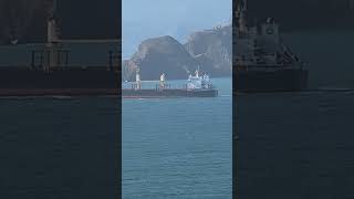 Pilot vessel quotGolden Gatequot and bulk carrier 10724 [upl. by Korie775]