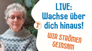 Live Wachse über dich hinaus Jin Shin Jyutsu für Entspannung am Abend [upl. by Enileqcaj]